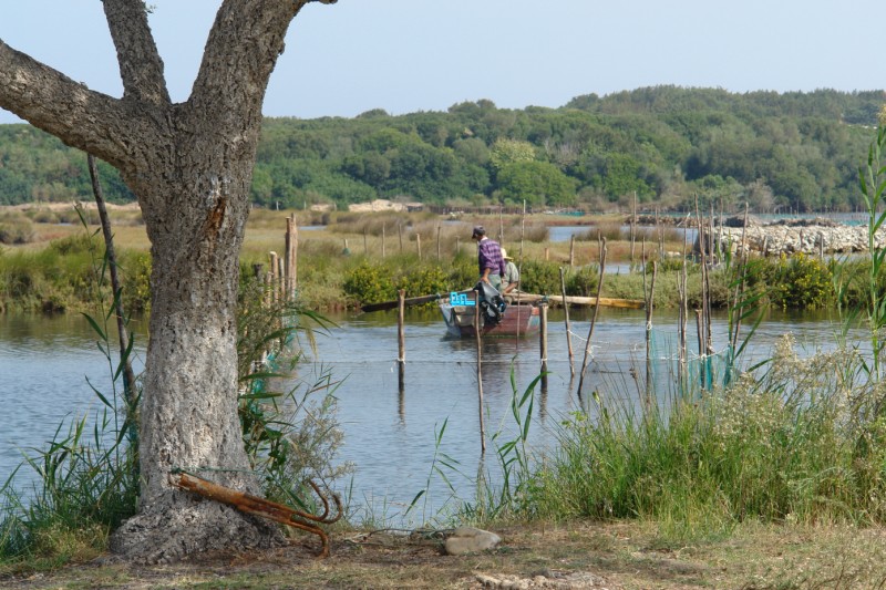 Parc National d'El Kala